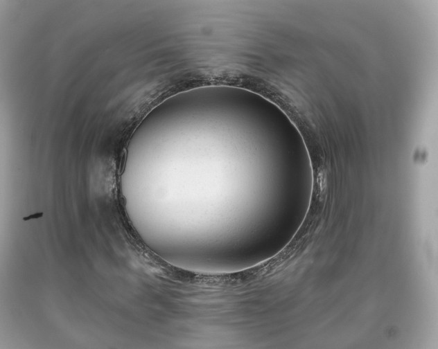 X0000091990963200709131450
