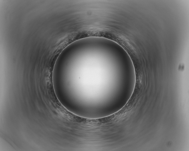 X0000091990964200709131450