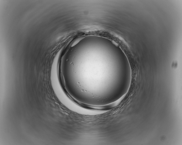 X0000091990965200709131450