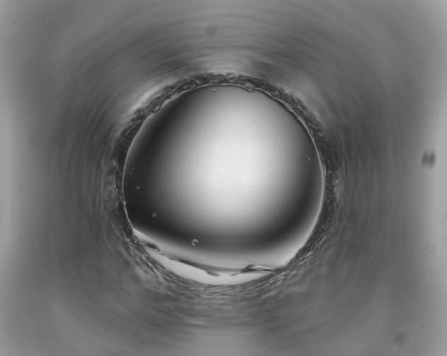 X0000091990968200709131450
