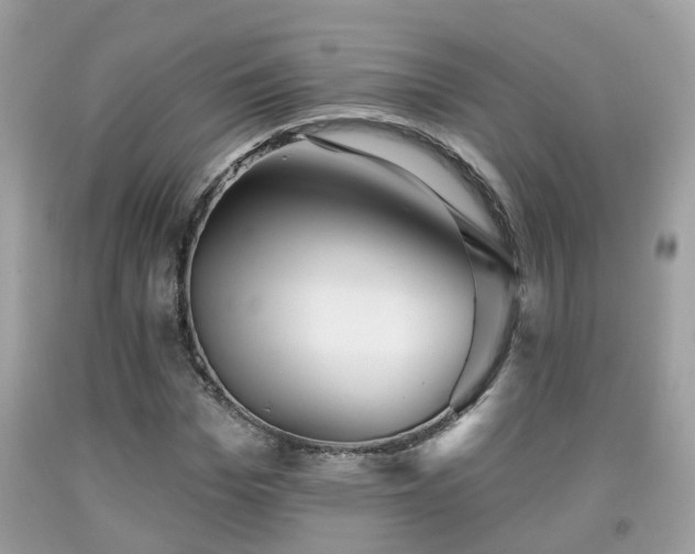 X0000091990969200709131450