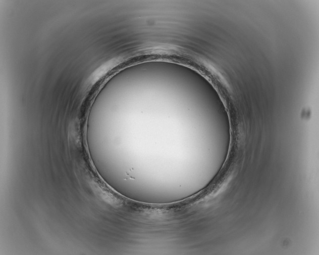 X0000091990970200709131450