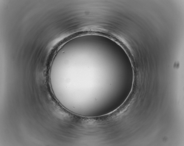 X0000091990971200709131450