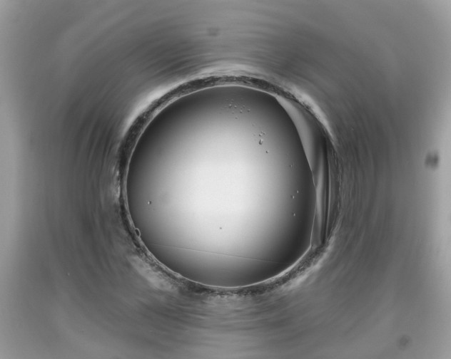 X0000091990973200709131450