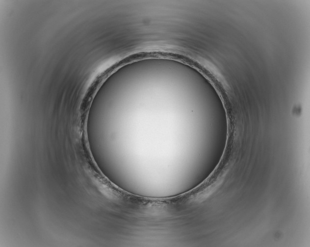 X0000091990974200709131450
