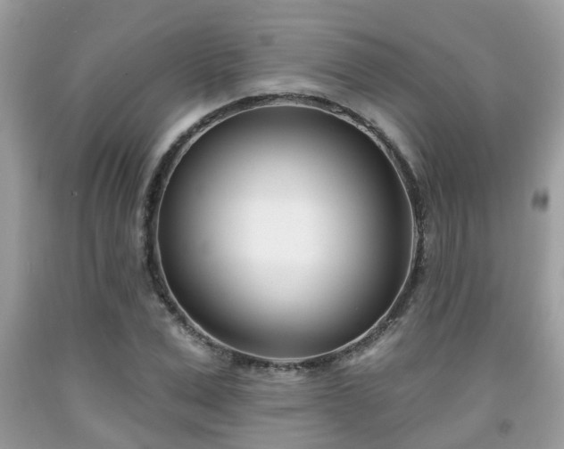 X0000091990975200709131450