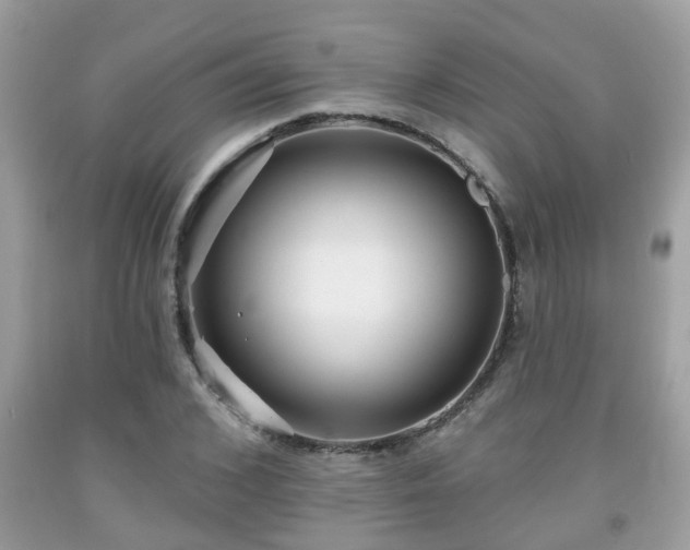 X0000091990976200709131450