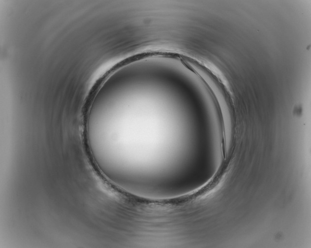 X0000091990981200709131450