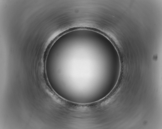 X0000091990982200709131450