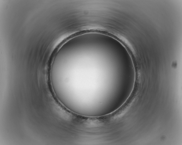 X0000091990983200709131450