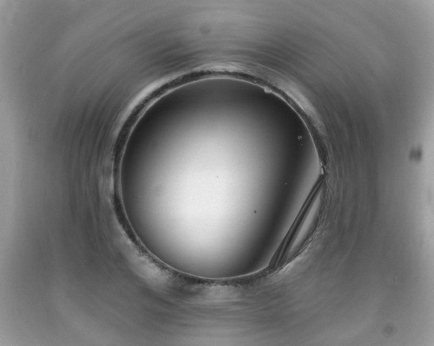X0000091990984200709131450