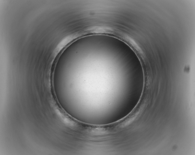 X0000091990986200709131450
