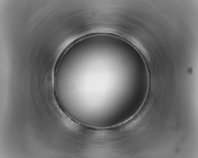 X0000091990988200709131450