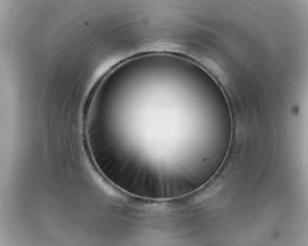 X0000091990990200709131450