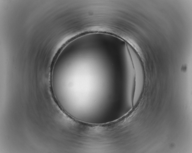 X0000091990992200709131450