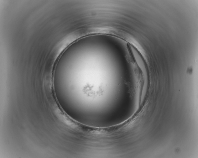 X0000091990994200709131450