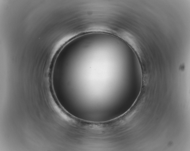 X0000091990995200709131450