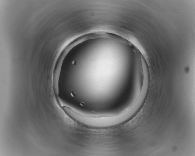 X0000091990996200709131450