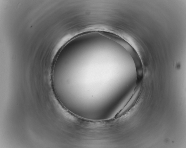 X0000091990997200709131450
