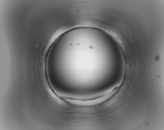 X0000091990998200709131450