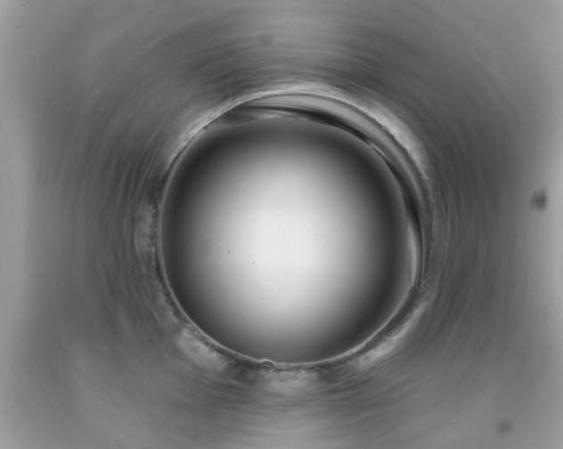 X0000091991001200709131450