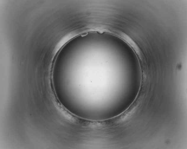 X0000091991002200709131450