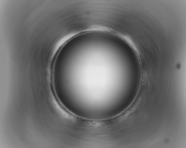 X0000091991003200709131450
