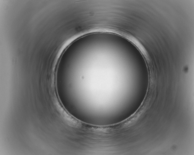 X0000091991004200709131450