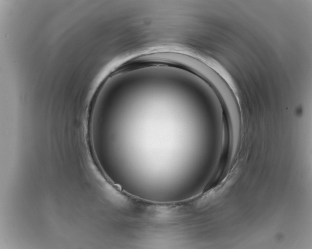 X0000091991005200709131450