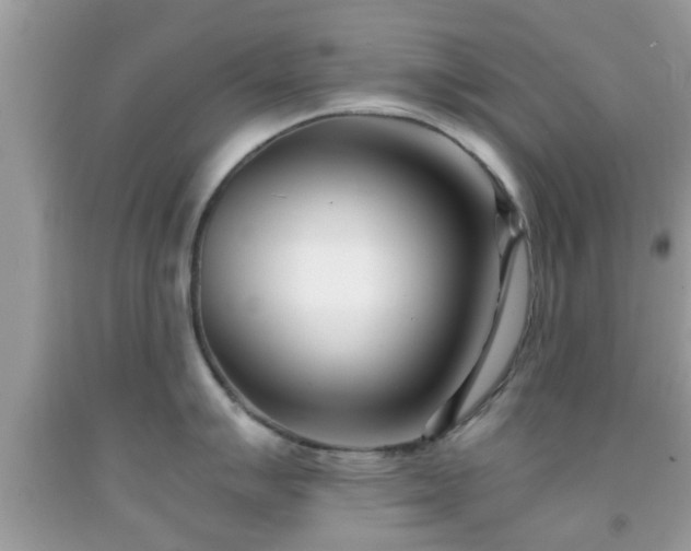 X0000091991007200709131450