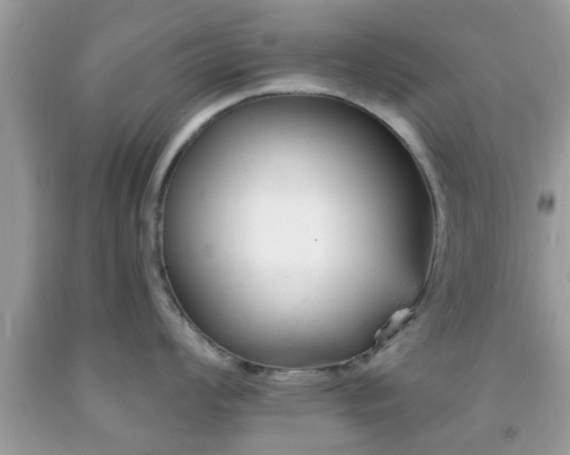 X0000091991008200709131450
