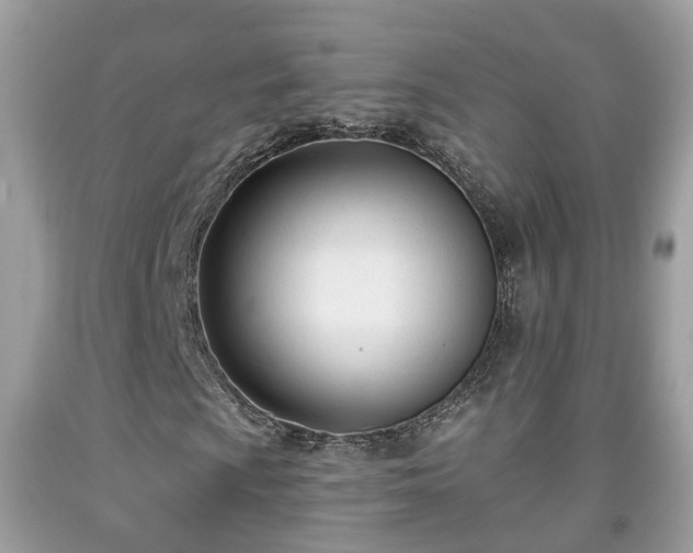 X0000091991009200709131449