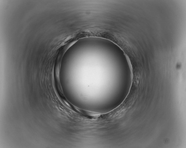X0000091991010200709131449