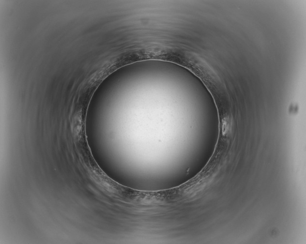 X0000091991011200709131449