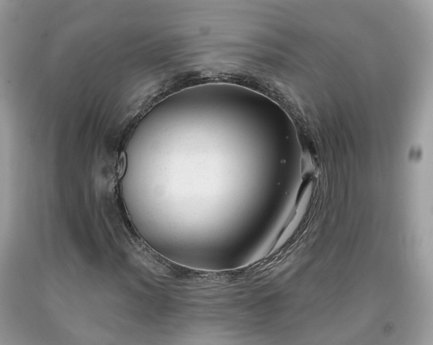 X0000091991012200709131449