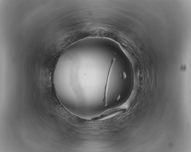 X0000091991013200709131449