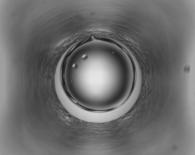 X0000091991014200709131449