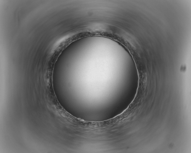 X0000091991016200709131449
