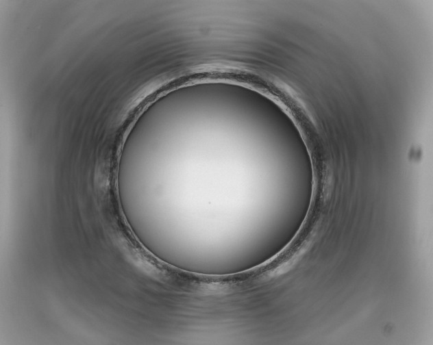 X0000091991017200709131449