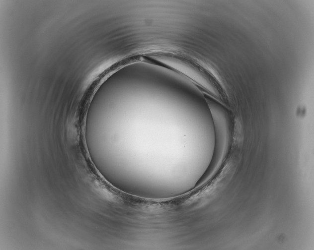X0000091991018200709131449