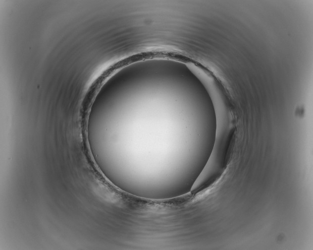 X0000091991022200709131449