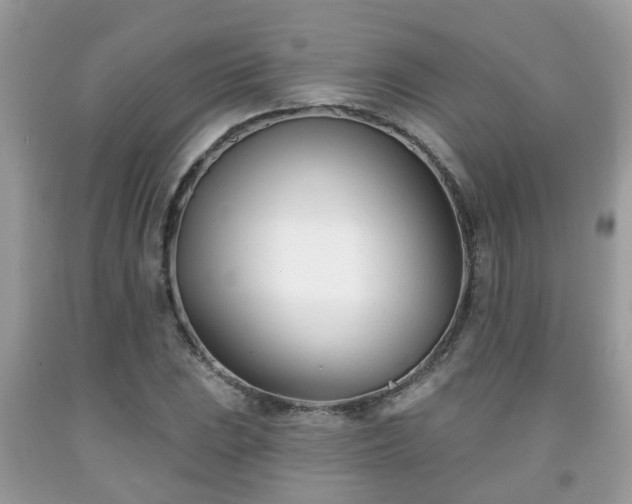 X0000091991023200709131449