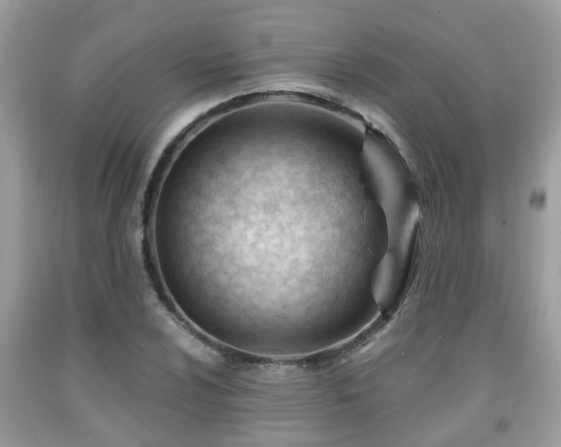 X0000091991024200709131449