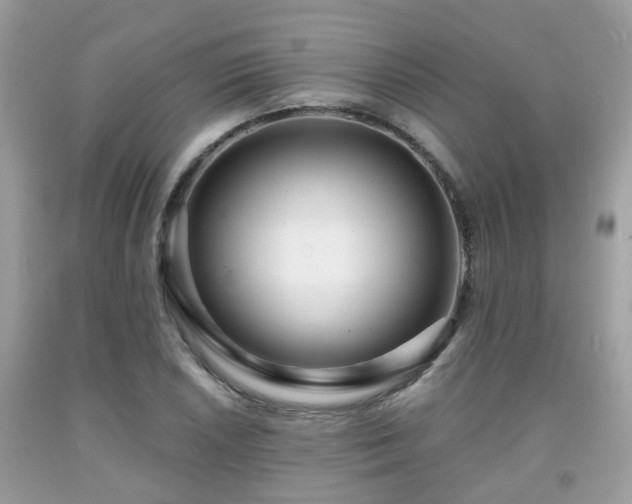 X0000091991026200709131449