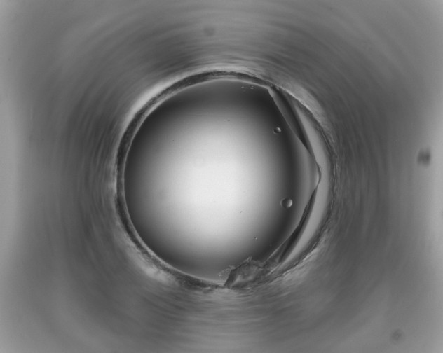 X0000091991028200709131449