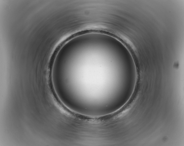 X0000091991029200709131449