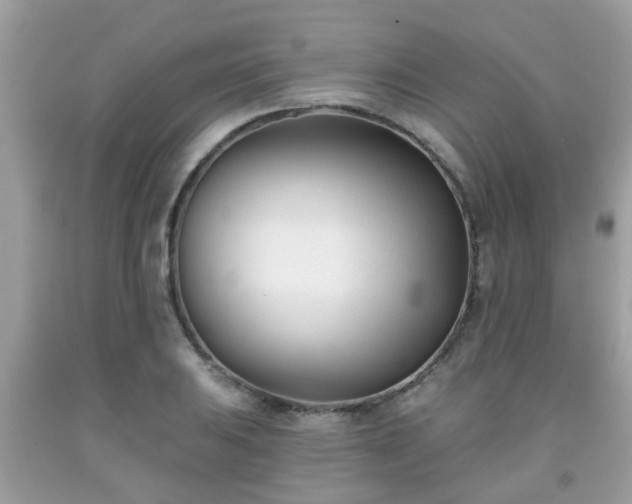 X0000091991031200709131449