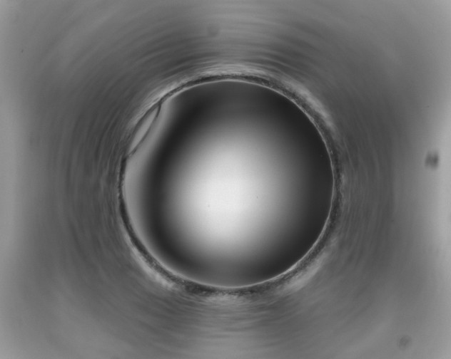 X0000091991033200709131449