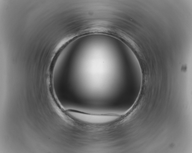 X0000091991034200709131449