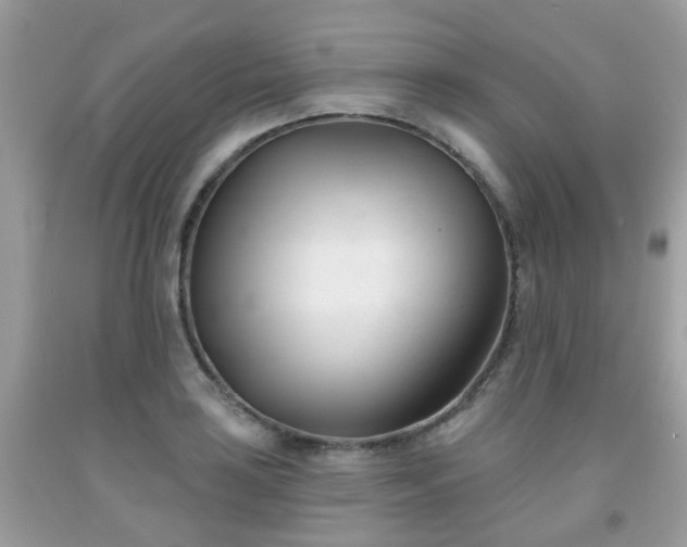 X0000091991035200709131449